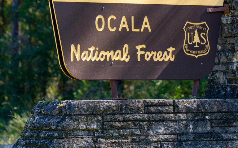 Ocala National Forest Sign