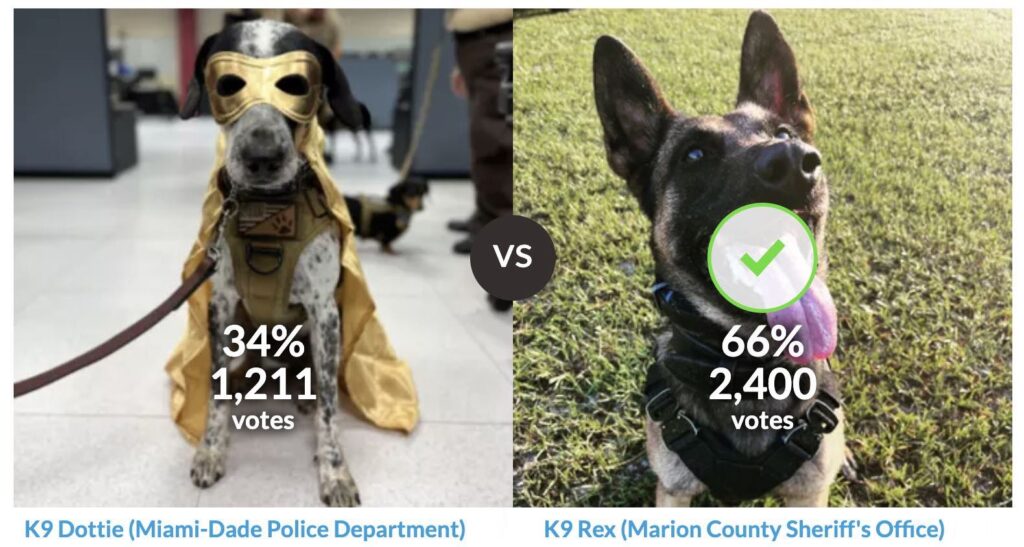Vote for Rex, a K9 officer with the Marion County Sheriff's Office who is running for Top Dog for the FSA.